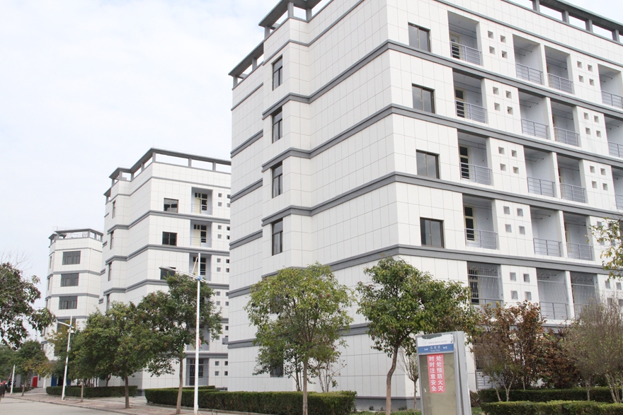 1542621609137938.jpg IMG_3564.JPG